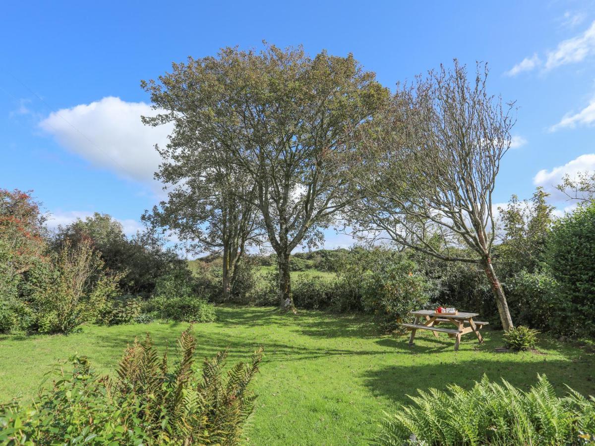 Ffrwd Cottage Bodorgan Εξωτερικό φωτογραφία